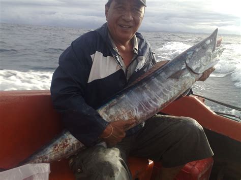 Cara Memancing Ikan Tenggiri | Semua Hal Tentang Memancing