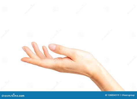 Woman Showing Open Hand or Holding Something Stock Image - Image of ...