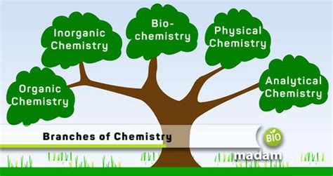 Important Branches of Chemistry - BIoMadam