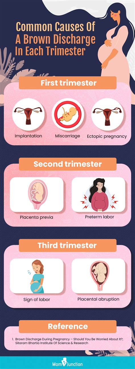 Brown Discharge Early Pregnancy – asnachicago