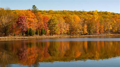 new jersey fall foliage 2021 - Bronwyn Ladner