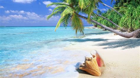 Tropical Beaches: I Want to Visit! | Beach wallpaper, Scene wallpaper ...