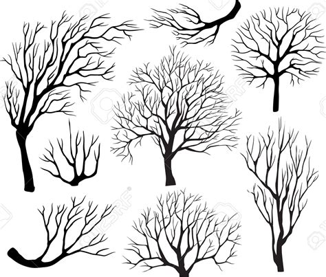 Set Of Silhouettes Of Trees Royalty Free Cliparts, Vectors, And Stock ...