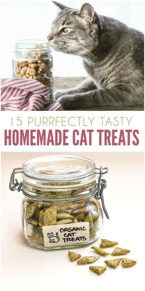 15 Purrfect Homemade Cat Treats to Spoil Your Kitty