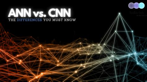 ANN vs. CNN - What Are The Significant Differences? - TechieCub