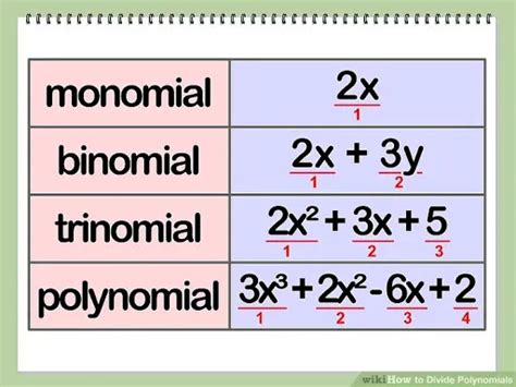 MG Maths: polynomials