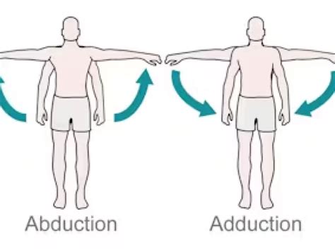 Shoulder Range Of Motion Exercises: Unlock Shoulder Pain