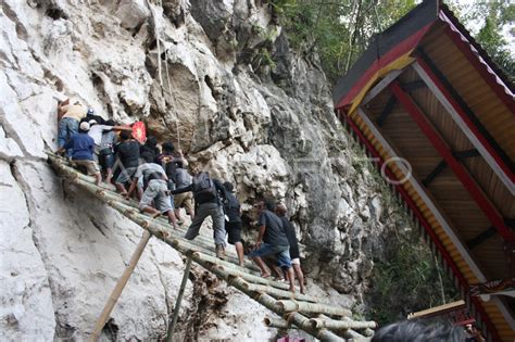 PEMAKAMAN ADAT TORAJA | ANTARA Foto