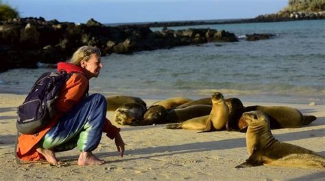 Sustainable Tourism and Conservation in The Galapagos Islands