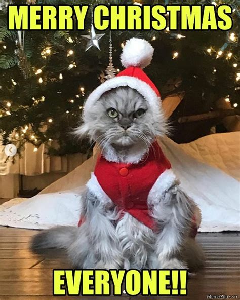 Cat Merry Christmas Meme - Captions Profile