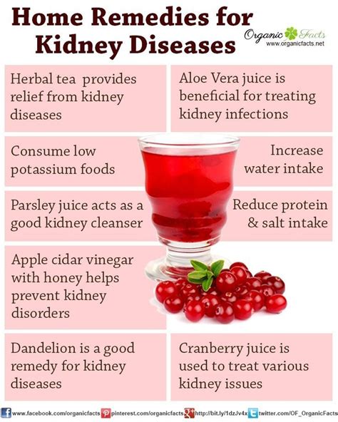 The 25+ best Kidney infection ideas on Pinterest | Natural uti cure ...