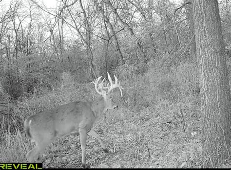 Iowa Hunter Tags 20-Point Buck, Recovers It with His Wife - Outdoor ...