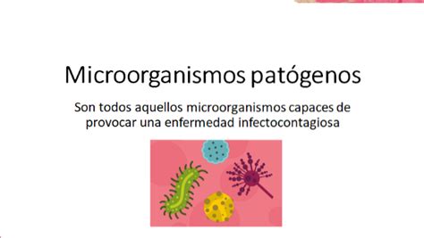 microorganismos patogenos