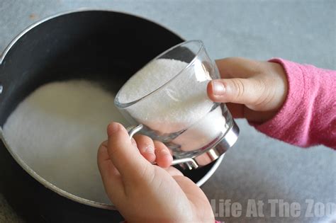 Making Sugar Crystals - Science at Home - Life At The Zoo