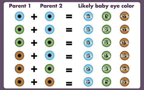 Eye Color Genetics