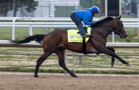 Kentucky Derby 2023 horses - NimrodVicente