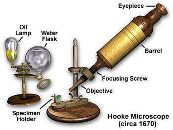 Molecular Expressões Microscopia Primer: Museu de Microscopia - Hooke ...