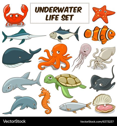 Cartoon underwater animals set Royalty Free Vector Image