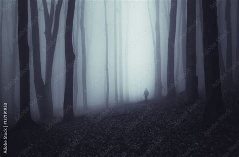 Haunted forest background. Scary ghostly figure in fog in dark woods ...