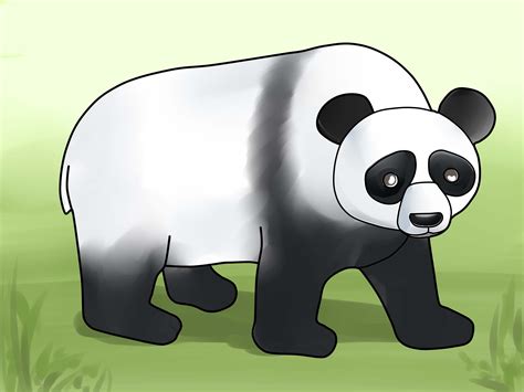 How to Draw a Panda (with Pictures) - wikiHow