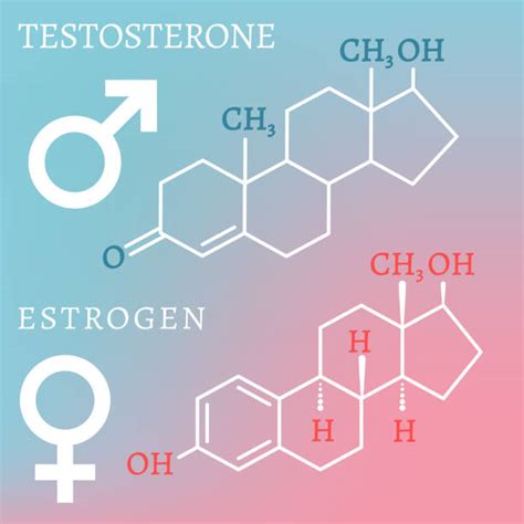 List 100+ Pictures What Is The Primary Male Sex Hormone Latest 10/2023