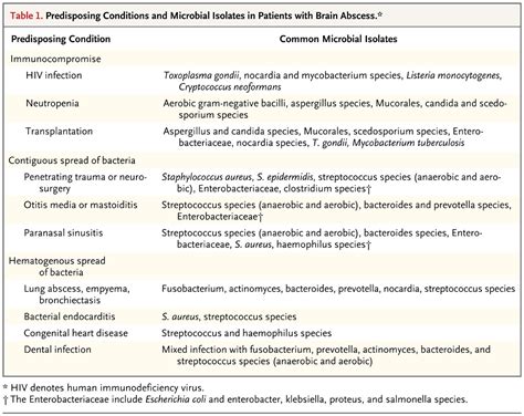 Brain Abscess | NEJM