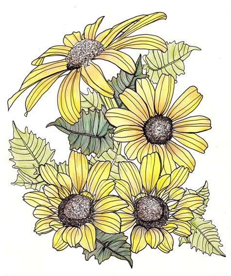 line drawing - flowers - yellow daisies and leaves Daisy Flower Drawing ...