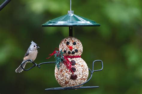 Wild Bird Feeders Images