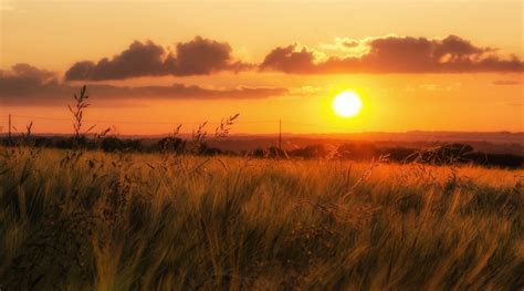 beautiful, Nature, Grass, Sunset, Field, Sky Wallpapers HD / Desktop ...