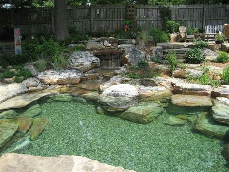 How do I build a natural swimming pool? | Hometalk