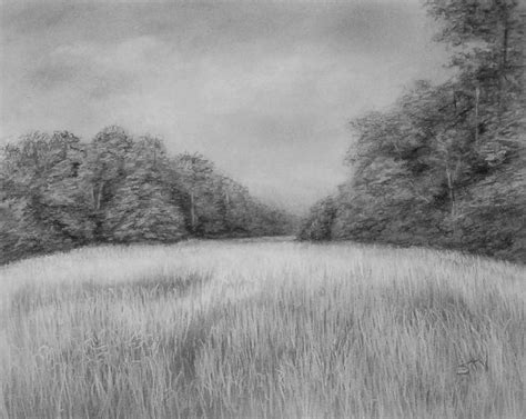 Grass Field Drawing at PaintingValley.com | Explore collection of Grass ...