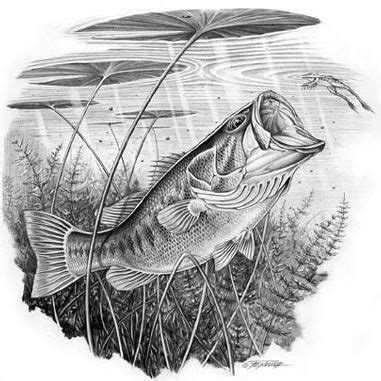 Expert Tips: Catching Largemouth Bass Made Easy