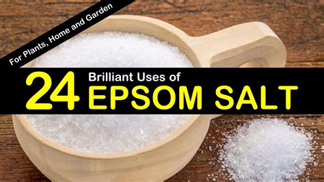 24 Brilliant Epsom Salt Uses for Plants, Home and Garden