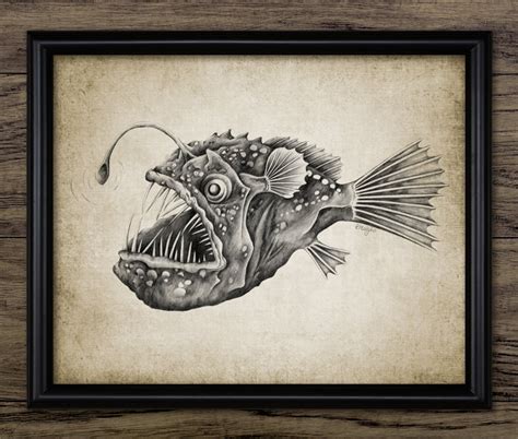 Anglerfish Print, Deep Ocean Marine Biology Illustration, Angler Fish ...