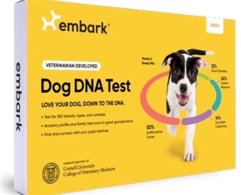 Testing your dog’s DNA has soared in popularity. Here’s where to buy ...