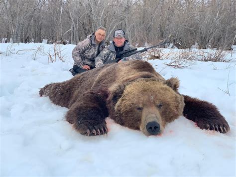 Bear Hunting Outfitter in Russia | Guided Brown Bear hunts in Russia