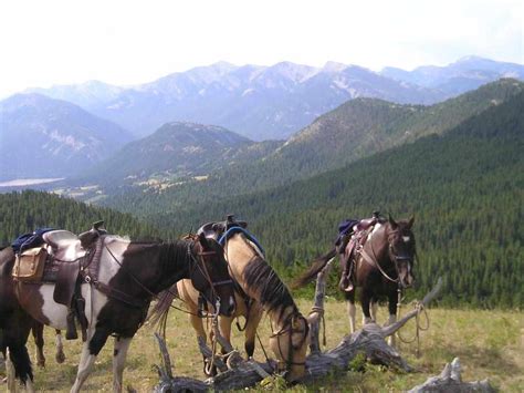 Montana Horse Ranches – Best place for keeping horses | PRLog