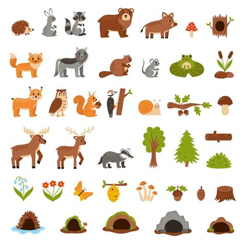 Set of cute woodland animals in cartoon style. 23588252 Vector Art at ...