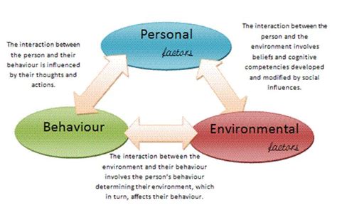 Social Cognitive Theory | Social cognitive theory, Social learning ...