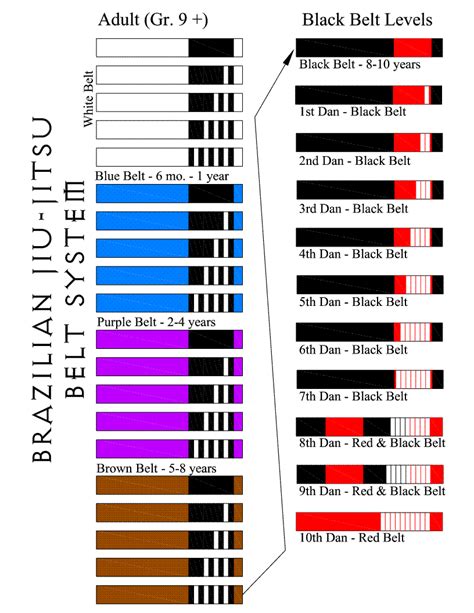 le monde du jiujitsu : Les grades en jiu-jitsu.