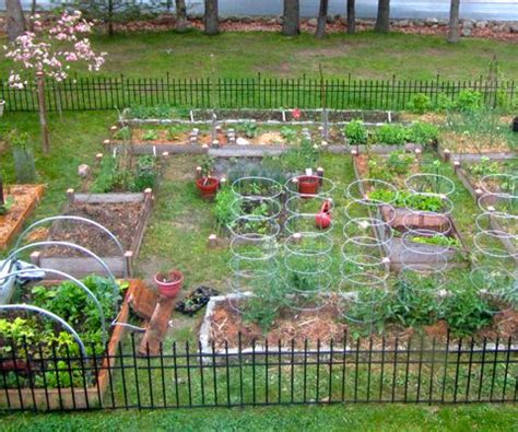 Allotment planning tips, information and advice for gardening beginners ...