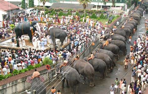 The Circus "NO SPIN ZONE": Kandy and Guruvayur Temple Elephants