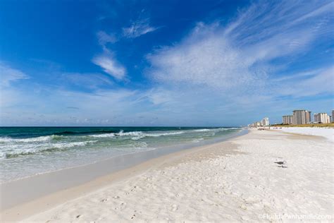 Henderson Beach State Park in Destin, FL | Attraction Review