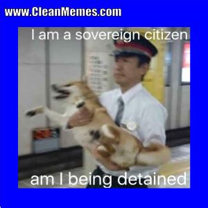 Sovereign CItizen – Clean Memes