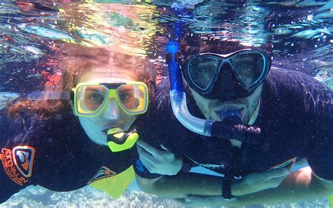 The Best Snorkeling Spots In Cairns And Port Douglas – DesertDivers