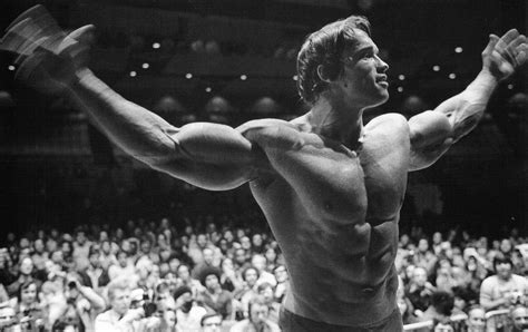 1536x2048 Resolution Arnold Schwarzenegger Bodybuilding Poster ...