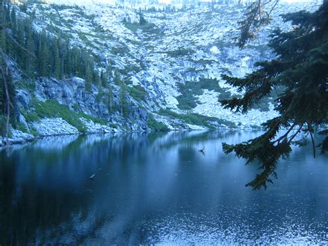 Best Hikes in Shasta-Trinity National Forest (CA) - Trailhead Traveler