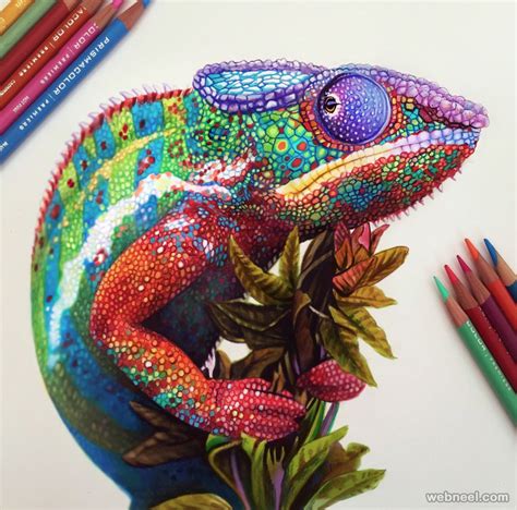 50 Beautiful Color Pencil Drawings from top artists around the world