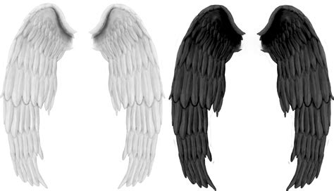 Angel Wings Png Transparent