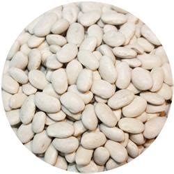 Great Northern Beans | MNC - Public Site